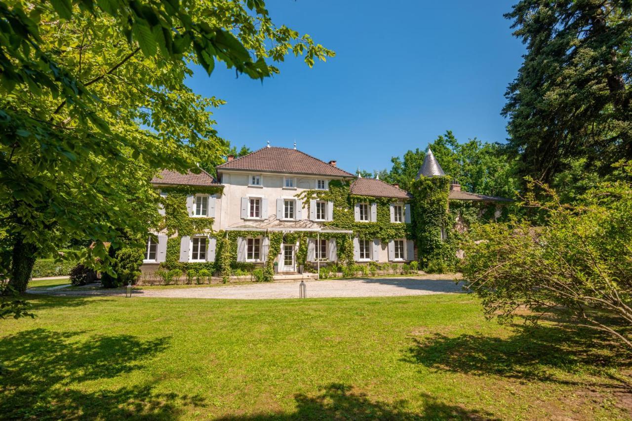 Chateau Des Ayes - Chambres & Suites Saint-Etienne-de-Saint-Geoirs Экстерьер фото