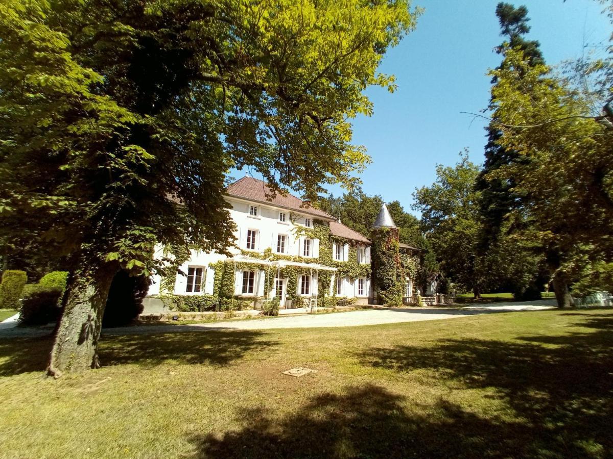 Chateau Des Ayes - Chambres & Suites Saint-Etienne-de-Saint-Geoirs Экстерьер фото
